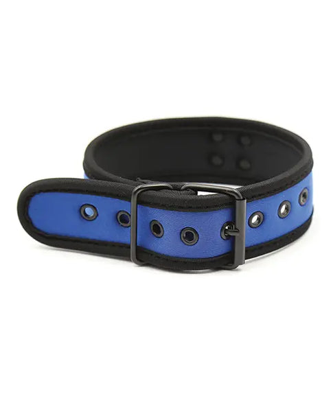 Neoprene Puppy Collar