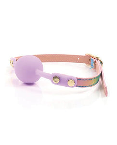 Hello Sexy! Iridescent Rainbow Ball Gag