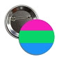 1.25" Polysexual Pride Button