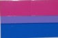 4"x6" Pride Flag on a stick - Bisexual