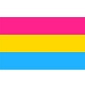 4"x6" Pride Flag on a stick - Pansexual