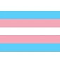 2"x3" Transgender Pride Sticker