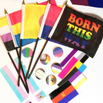4"x6" Pride Flag on a Stick - Born This Way