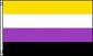 2’x3’ Pride Flag - Non-binary