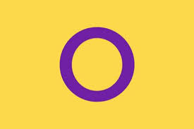 4"x6" Pride Flag on a Stick - Intersex