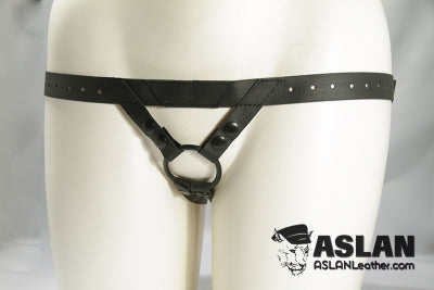 Aslan Stealth Harness